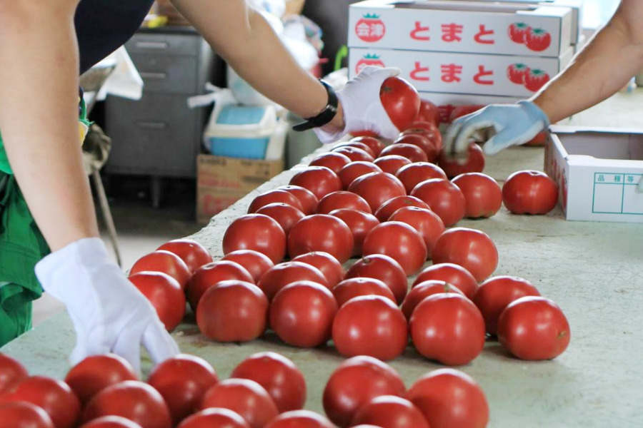 【終了】グルテンフリーの「ライスジュレ」と完熟トマトのコラボ商品を作ろう！どんな商品だったら食べてみたい？