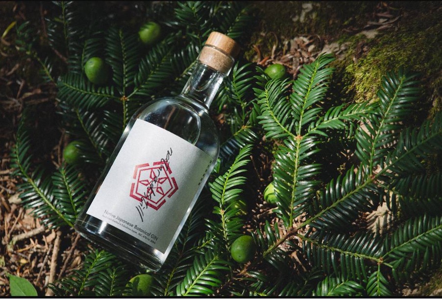 「感性がひらく土地の可能性」　株式会社Kokage代表取締役　大島草太さん